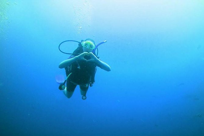 Padi Open Water Diver Course - Accessibility and Participation