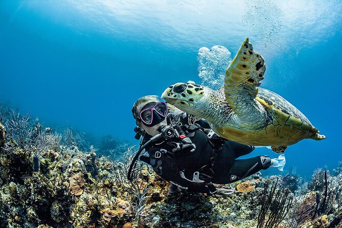 PADI Open Water Diver Course in Playa Del Carmen - Meeting and Pickup Information