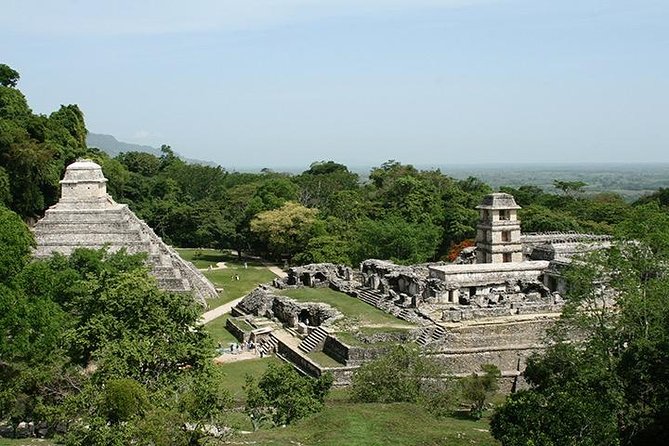 Palenque Archaeological Site From Villahermosa City or Airport - Traveler Participation Guidelines