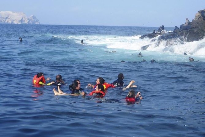 Palomino Islands Sea Lion Swimming Tour From Lima - Preparing for the Swim