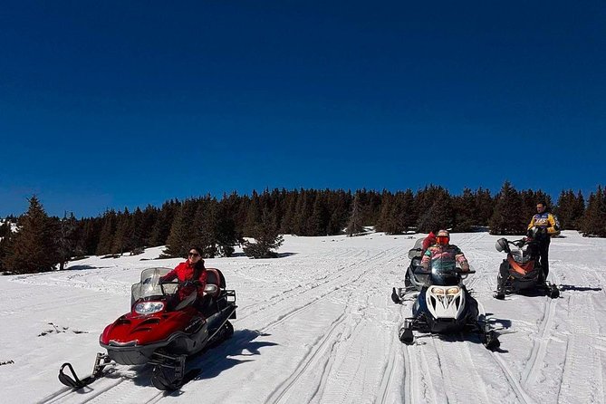 Pamporovo Ultimate Snowmobile Experience - Private Tour/Activity