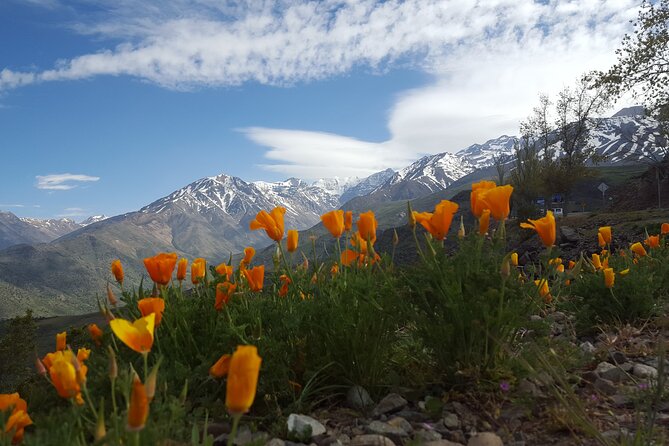 Panoramic Tour of Valle Nevado and Farellones - Preparing for the Tour