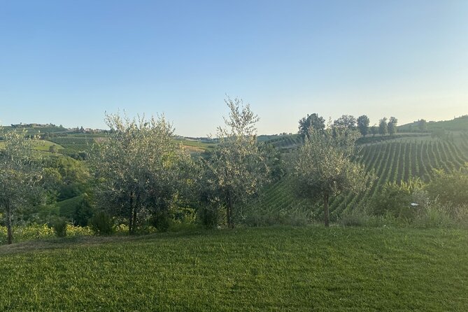 Panoramic Wine Tasting in Oltrepò Pavese - What to Expect