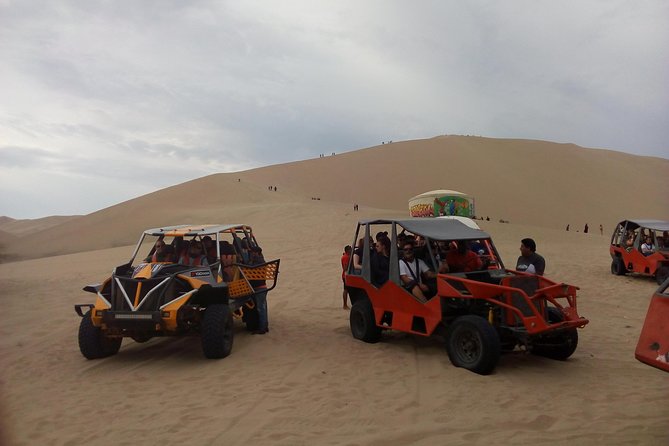 PARACAS and PISCO ROUTE With SANDBOARD - Day Tour - Health and Accessibility
