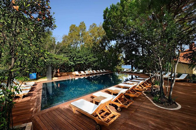 Paradise Trees, Cefalù for APT Palermo or Vice Versa, Private Transfer - Accessibility and Participation