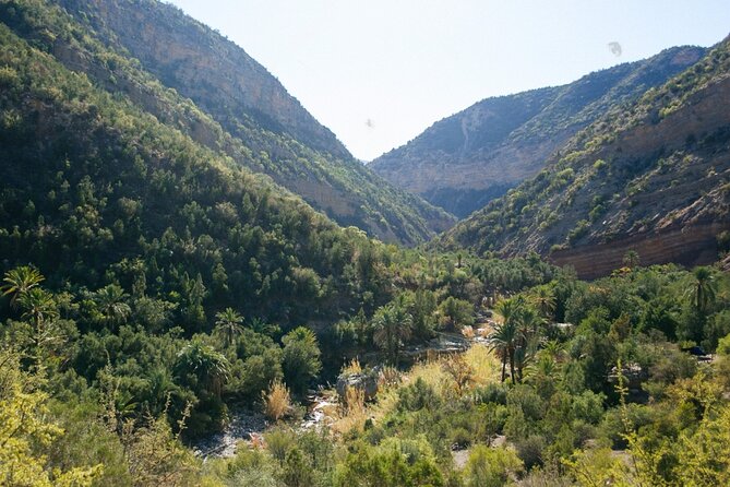 Paradise Valley Agadir Day Trip - Recommended Essentials