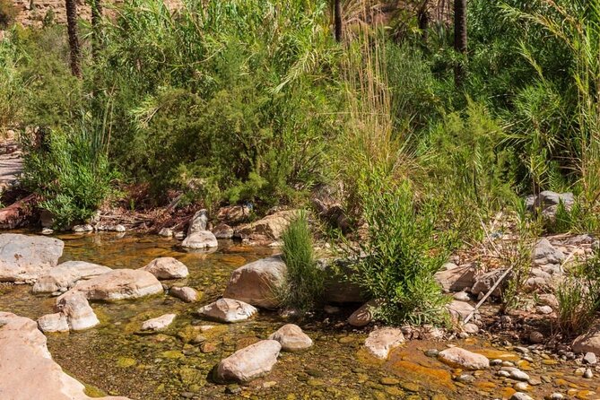 Paradise Valley & Atlas Mountains Adventure With Optional LUNCH - Customer Feedback Summary