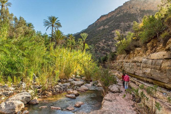 Paradise Valley Trip With Hammam Massage - Inclusions and Amenities