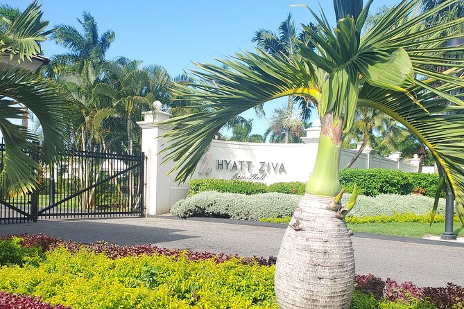 Parasaling & Jetski Experience Montego Bay. - Health and Accessibility