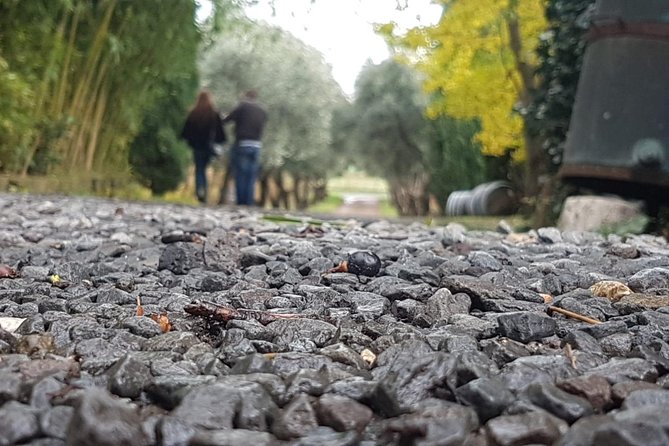 Pasta Perfected: Culinary Adventure and Wine - Rome Countryside - Accessibility