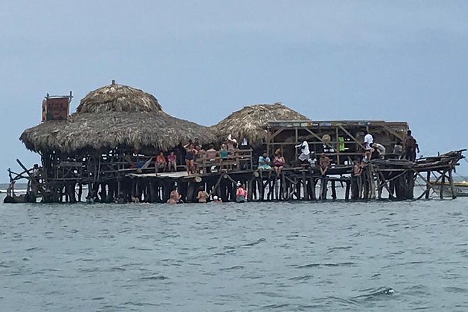 Pelican Bar Private Tour - Review Highlights