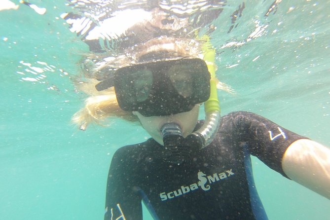 Pelican Rock Snorkeling and Sightseeing Adventure - Accessibility
