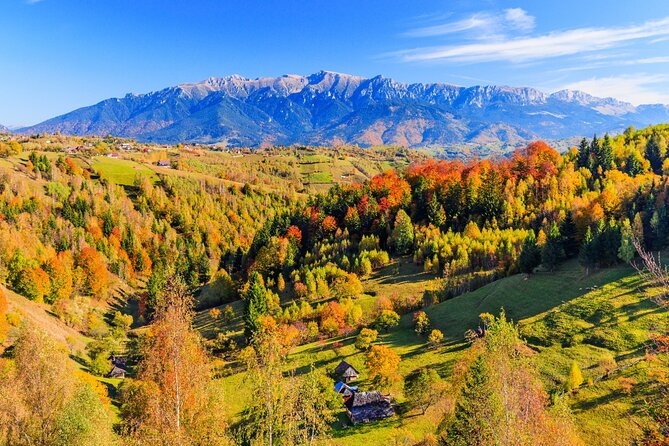 Pestera and Magura Full-Day Private Walking Tour From Brasov - Inclusions