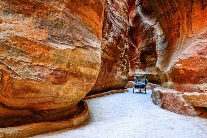 Petra and Wadi Rum Day Trip From Amman - Pricing and Booking Details