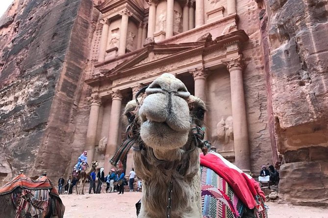Petra Day Trip From Aqaba City - Accessibility and Physical Requirements