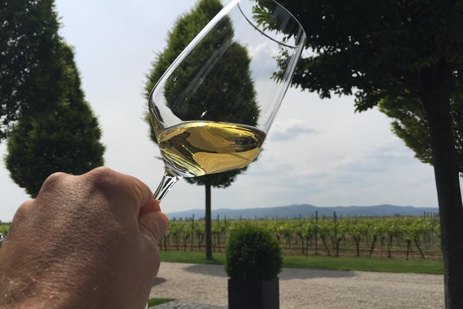 Pfalz Region Red Wine Tasting Tour  - Heidelberg - Customer Reviews and Ratings