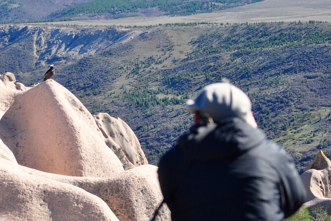Photo Discovering Condors & Birdwatching - Full Day Tour in Private Service - Pickup and Drop-off