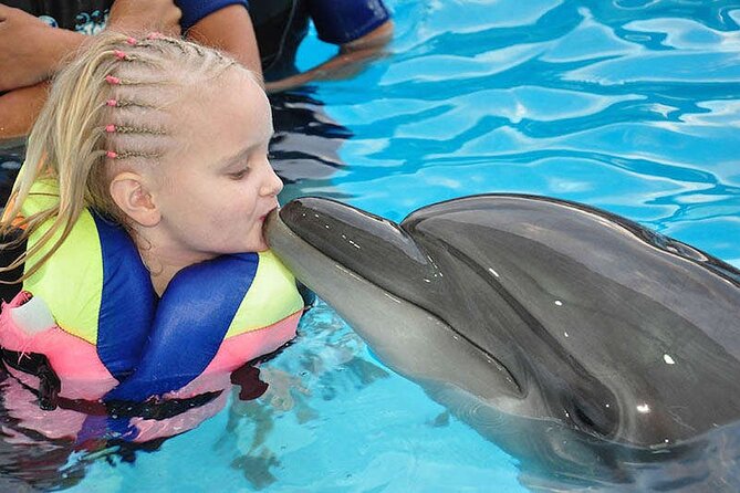Photo Session With Dolphins With Transfer in Hurghada - Meeting and Pickup Details