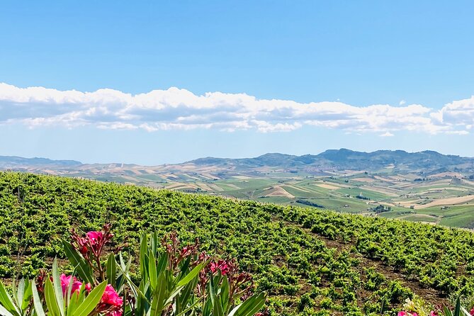Picnic in an Organic Winery in Alcamo - Engaging With Knowledgeable Local Guides