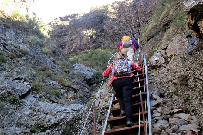 Pico Do Arieiro - Pico Ruivo - Achada Do Teixeira Walk - Reviews and Feedback