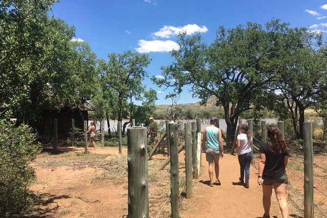 Pilanesberg Camping Safari From Johannesburg - Transportation Details and Pickup