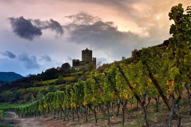Pinot Noir & Pinot Wine Tour to Baden-Württemberg - Pickup and Meeting Details