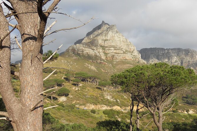 Pipetrack Hike for the Whole Family on Table Mountain - PRIVATE - Safety Considerations for the Hike