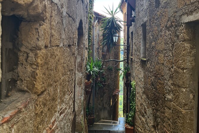 Pitigliano Private Walking Tour - Booking Information