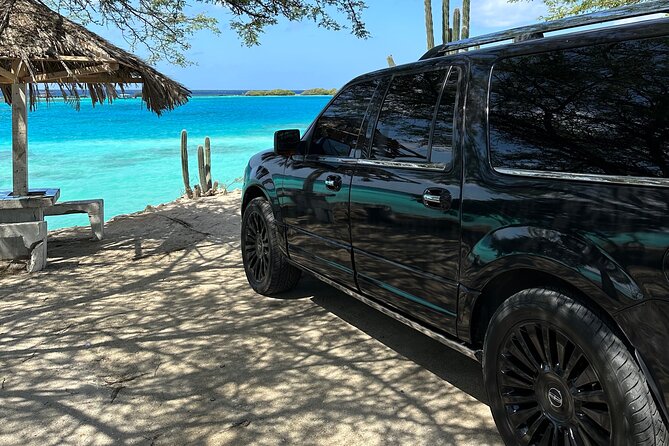 Platinium Aruba ROUNDTRIP Transfer - Accessibility and Additional Info