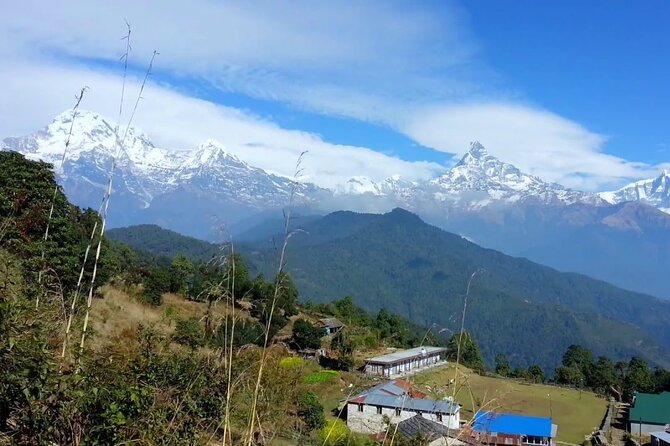 Pokhara: Dhampus Easy Trek for Families With Youngkids 2 Day Tour - What to Expect