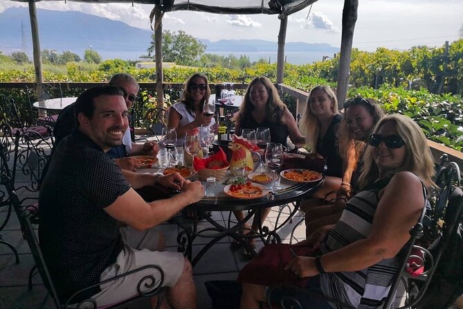 Pompeii, Vesuvius & Wine Tasting - Flexible Pricing Options