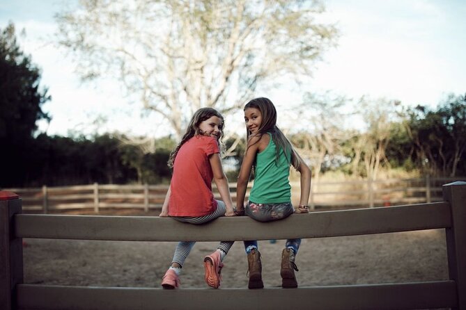 Pony Rides at North Shore Stables - Customer Reviews and Ratings