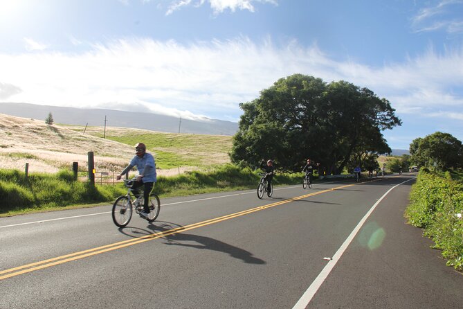 Predawn-Morning Haleakala Bike Tour 6,500 to Sea Level - Sunrise Viewing Expectations