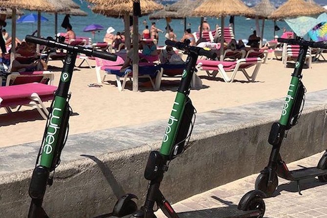 Premium Electric Scooter Rental With Optional Delivery - Customer Feedback and Ratings