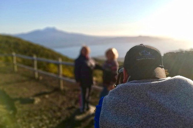 Premium Half Day Shared Tour Sunset at Osorno Volcano - Reviews