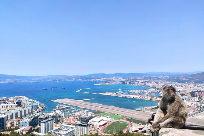 Premium Private Trip to Gibraltar From Seville (Various Options) - Accessibility and Additional Info