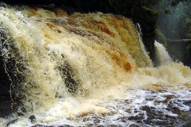 Presidente Figueiredo Waterfalls Day Trip From Manaus - Important Tour Details