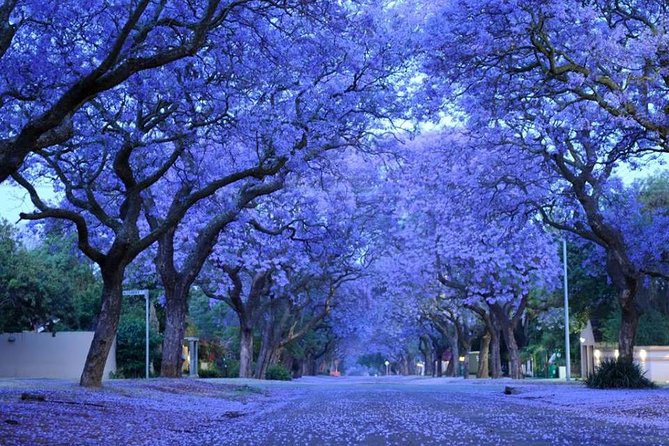 Pretoria Capital City Tour From Pretoria, Every TUESDAY - Frequently Asked Questions