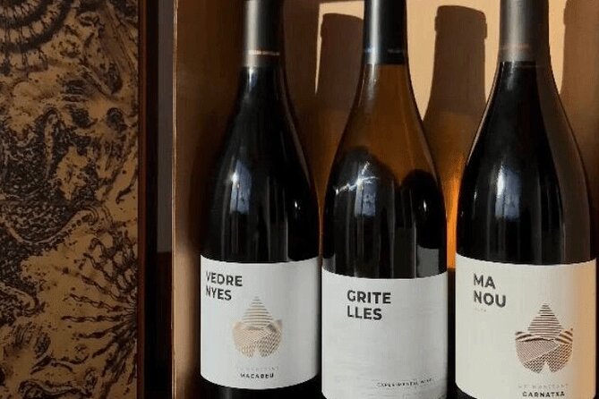 Priorat Wine Tasting Tour From Salou With Hotel Pickup - Customer Feedback and Ratings