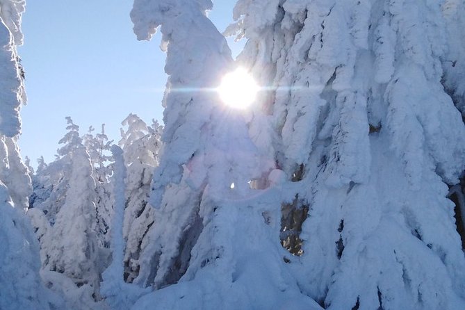 Private 2-Day Trip With Snowshoes - Guide and Equipment