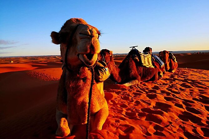 Private 3 Day Luxury Desert Tour From Fez to Marrakech - Pickup and Accessibility