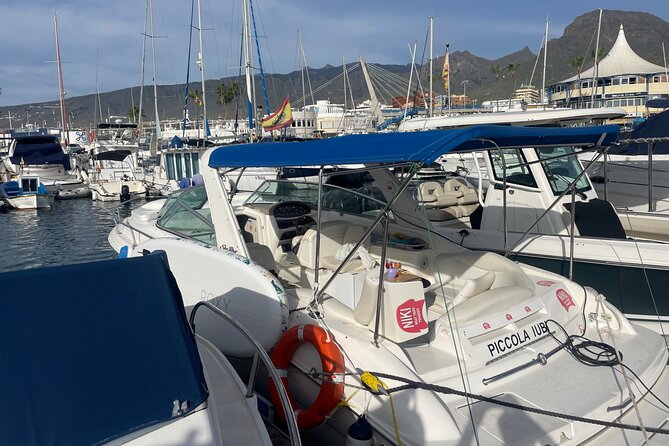 Private 3-Hour Boat Trip Costa Adeje - Customer Experiences