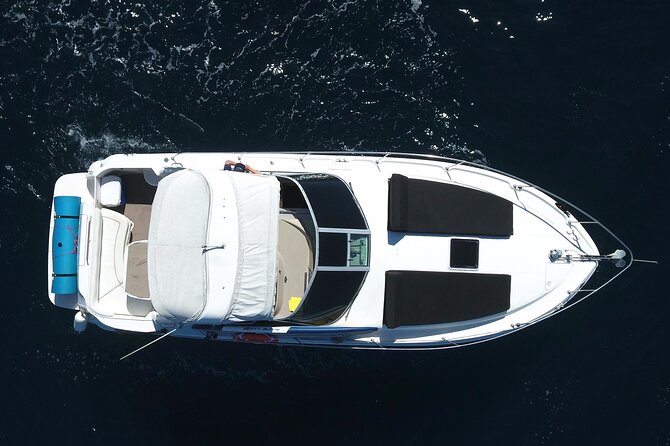 Private 3hr Yacht Cruise in Cabo San Lucas All Included - Schedule and Accessibility