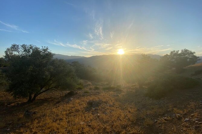 Private Activity Hiking From Chefchaouen to the Rif Mountains - Reviews and Feedback Summary