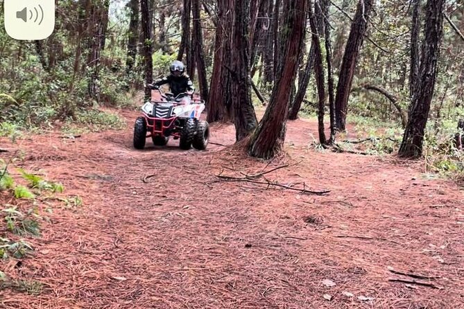 Private Adventure Tour on ATV QUAD MOUNTAINS Through Mountains Medellín - Participant Requirements and Restrictions