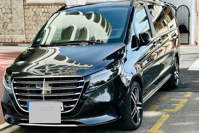 Private Airport Transfer Marseille Airport to Barcelone - Additional Details