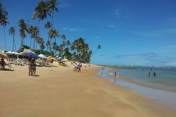 Private Beach Buggy Tour - Praia Do Forte by Emytour - Buggy Adventure Experience