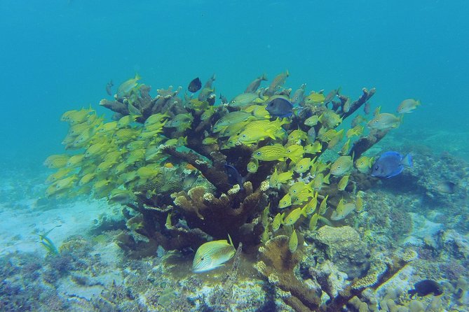 Private Beach Escape! Isla Contoy and Isla Mujeres With Snorkeling - Booking Information