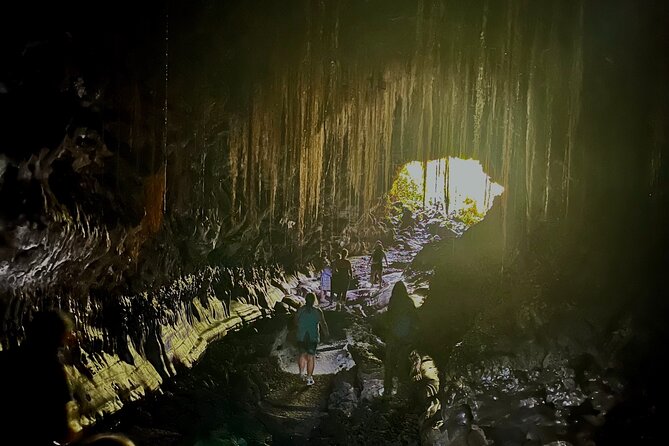 Private Big Island Tour: Coffee, Beaches, Volcanos, Waterfalls - Customer Testimonials