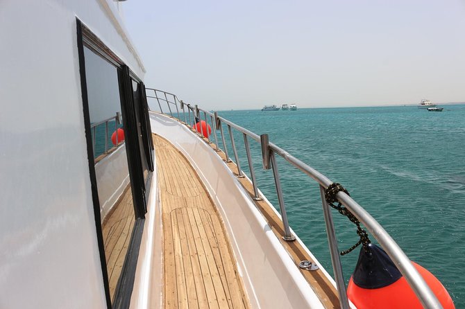 Private Boat Full Day Swimming With Dolphins Trip - Hurghada - Dolphin Encounter
